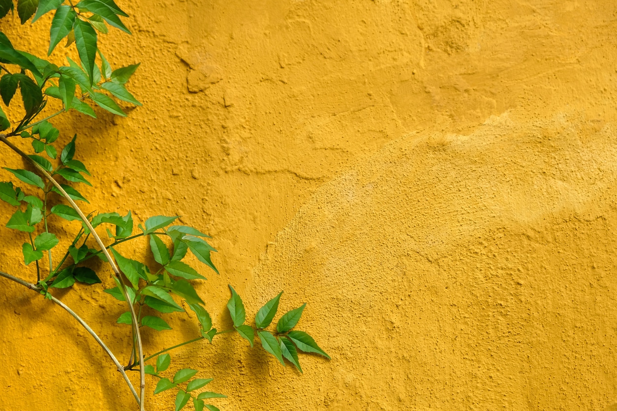 EIFS vs Stucco: What’s Better?